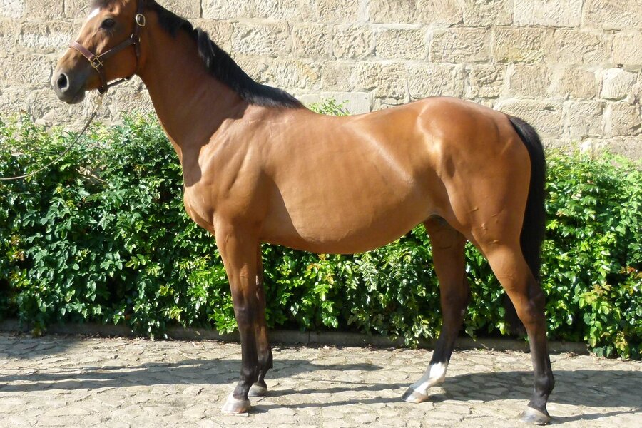 Imaging�2023:11:21 11:50:09���?����0220??����711�?����?�