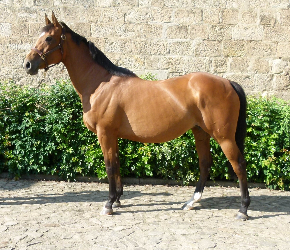 Imaging�2023:11:21 11:50:09���?����0220??����711�?����?�