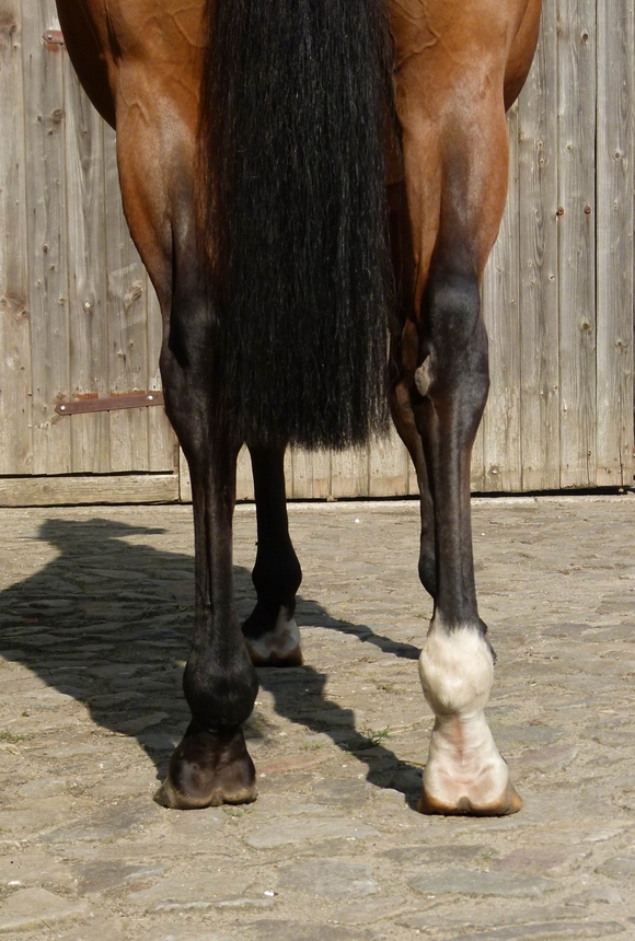 Imaging�2023:11:21 11:55:20���?����0220??����13��?����Q�