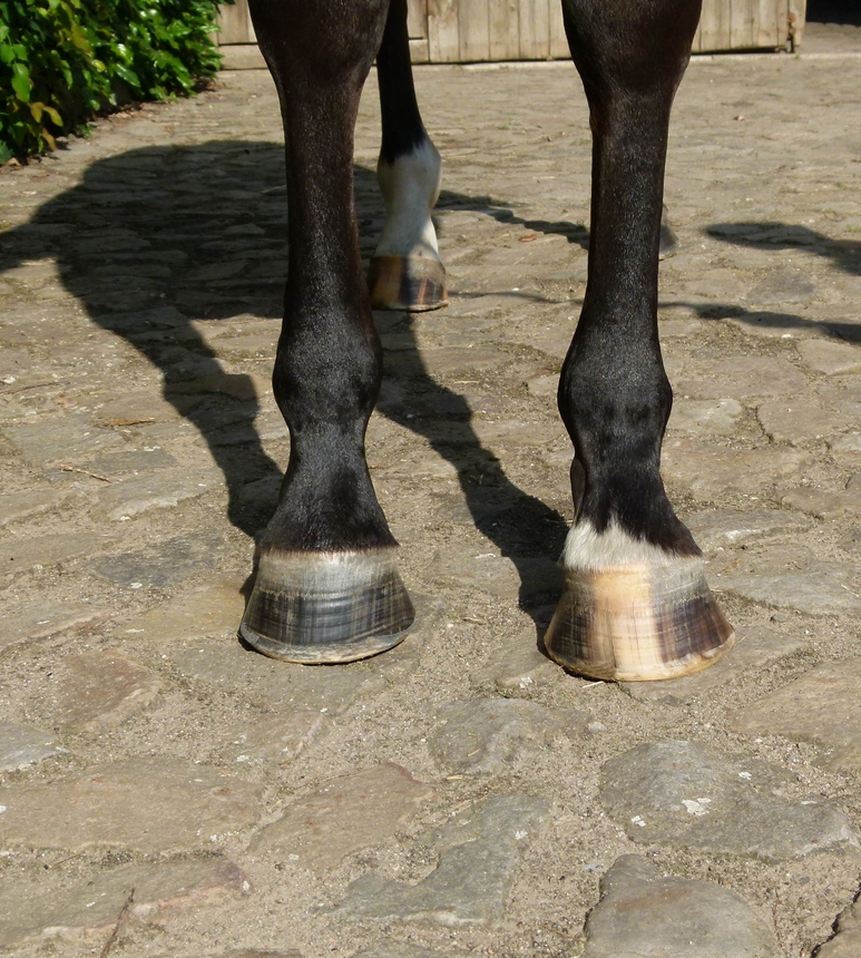 Imaging�2023:11:21 11:54:07���?����0220??����249�?����l�