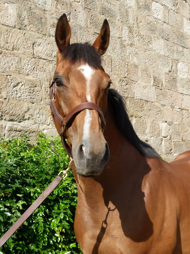 Imaging�2023:11:21 11:52:35���?����0220??����777�?����Z�